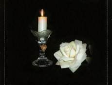 Blackmores Night - Ghost Of A Rose (CD, Album) (gebraucht VG)