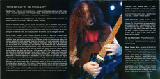 Dimebag Darrell - Dimevision 2: Roll With It Or Get Rolled Over (CD + DVD) (NM)