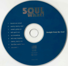 Soul What? - Straight from the Soul (CD, Album) (gebraucht VG+)