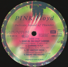 Pink Floyd - Delicate Sound Of Thunder (2LP, Album) (used VG-)