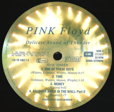 Pink Floyd - Delicate Sound Of Thunder (2LP, Album) (used VG-)