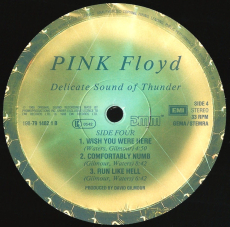 Pink Floyd - Delicate Sound Of Thunder (2LP, Album) (gebraucht VG-)