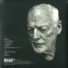 David Gilmour - Luck And Strange (LP, Album) (still sealed - Fast Neu)