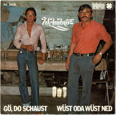 W. Ambros - Gö, Do Schaust / Wüst Oda Wüst Ned (Vinyl, 7) (gebraucht VG-)