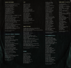David Hasselhoff - Looking For Freedom (LP, Album) (gebraucht G+)